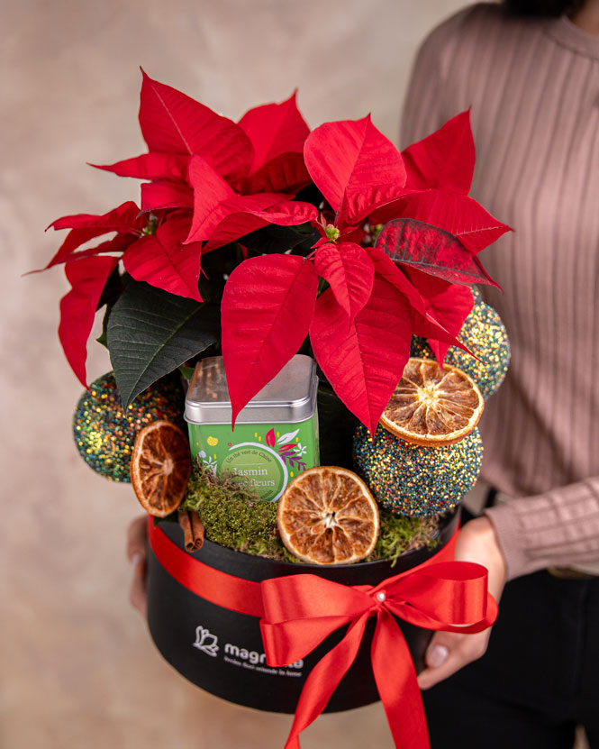 Holiday Gift with Tea and Poinsettia