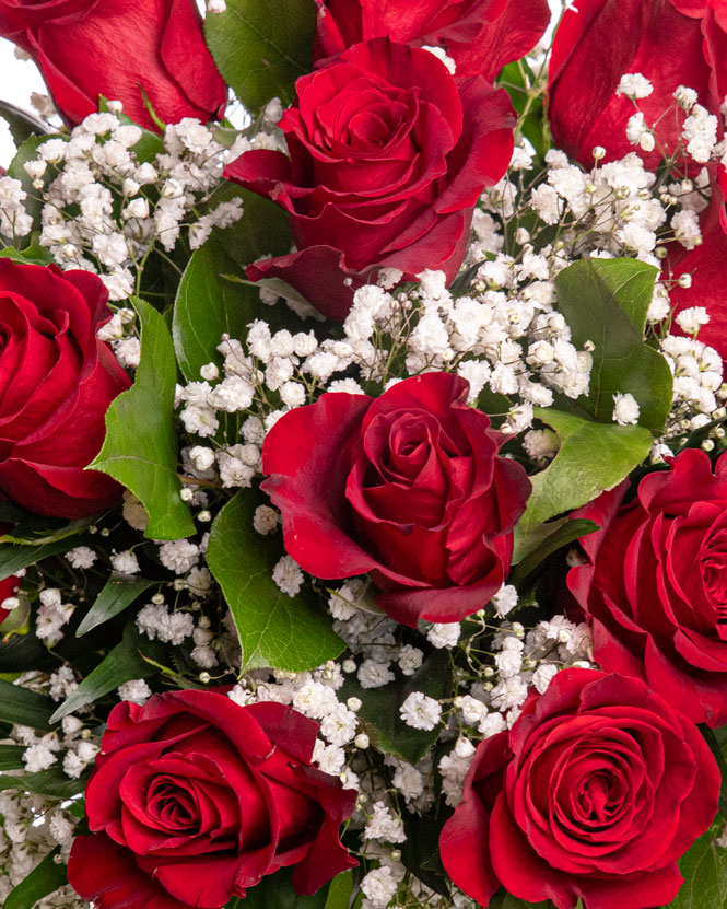 Red roses and gypsophila bouquet