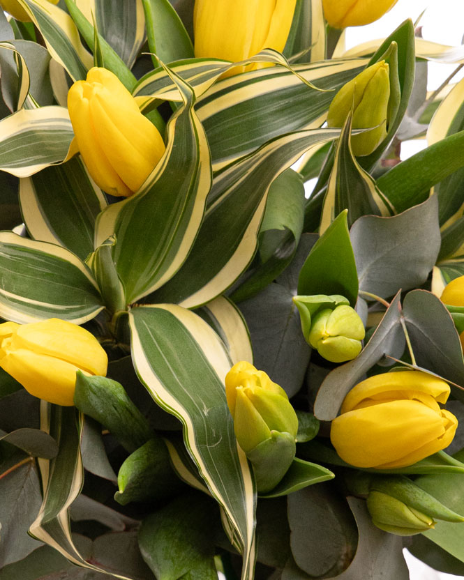 Bouquet with yellow tulips