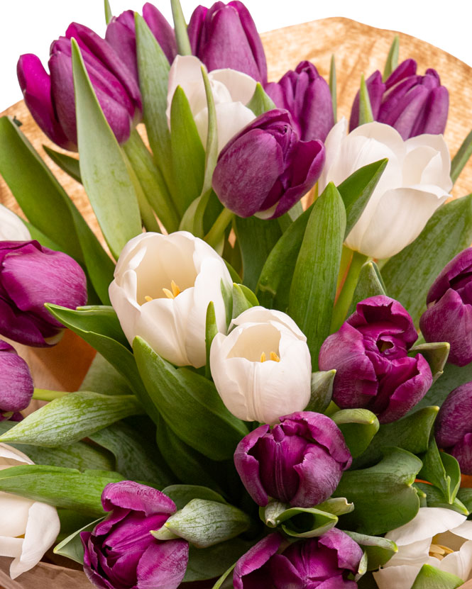Purple and white tulip bouquet