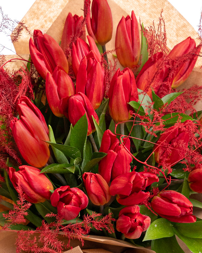 Bouquet of red tulips