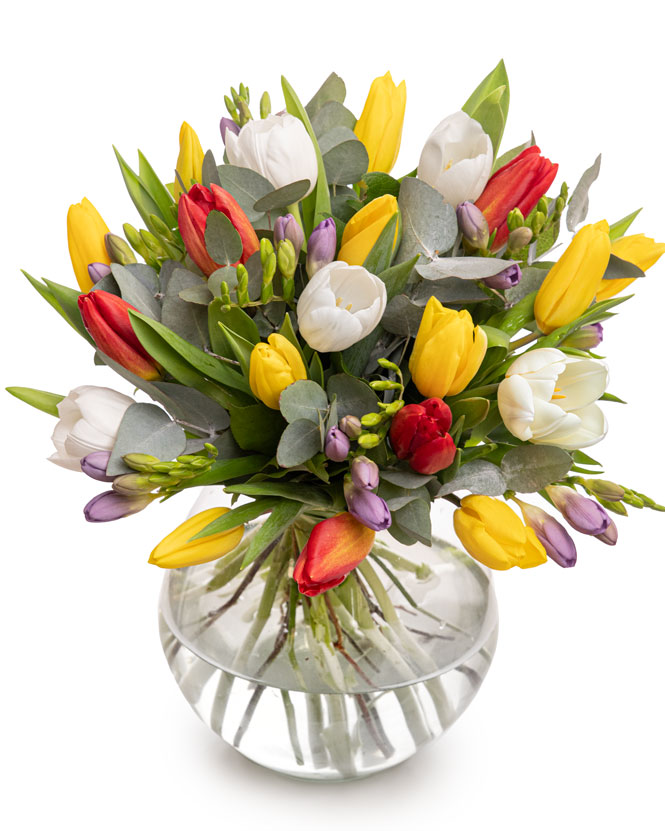 Bouquet of mix tulips and freesias
