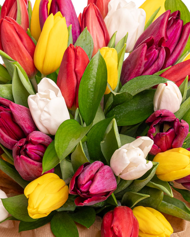 Multicolored tulips bouquet