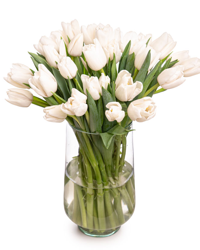 Bouquet of white tulips in a glass vase