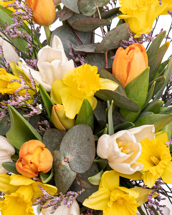 Daffodils and tulips bouquet