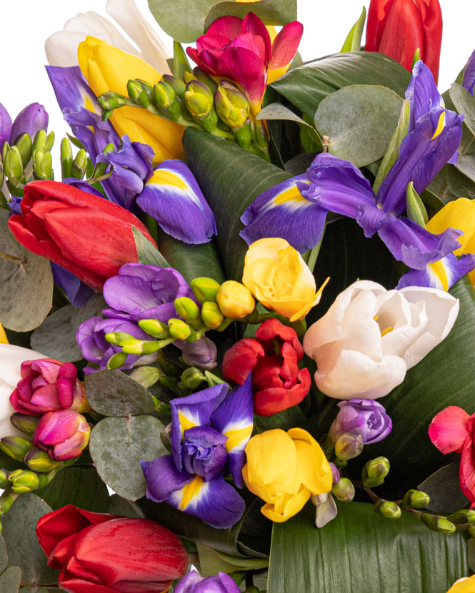 Bouquet with tulips, irises and freesias
