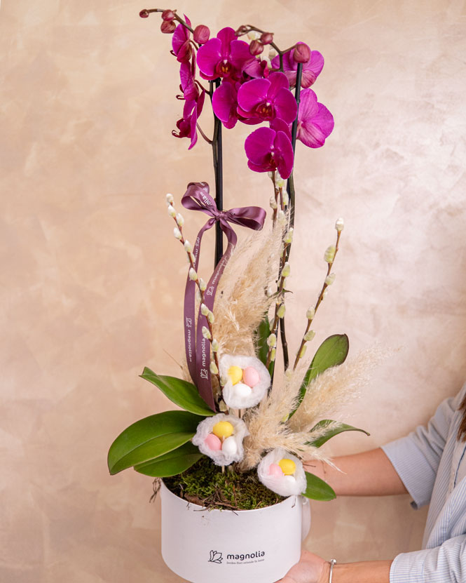 Aranjament de Paște cu orhidee