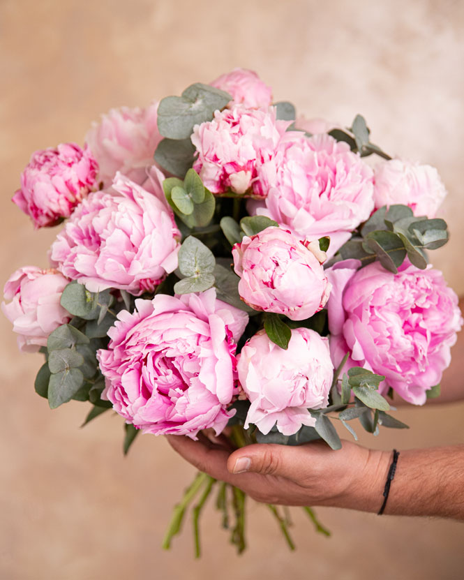 Bouquet of peonies