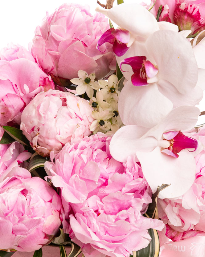 Pink peony box