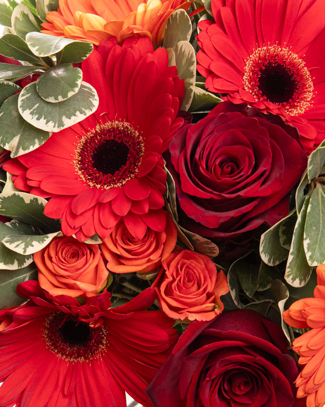 Buchet trandafiri și gerbera