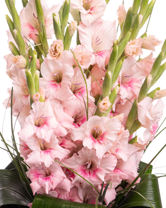 Buchet cu gladiole roz