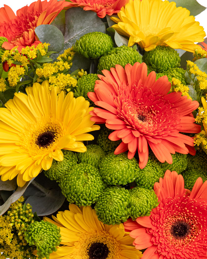 Buchet crizanteme si gerbera