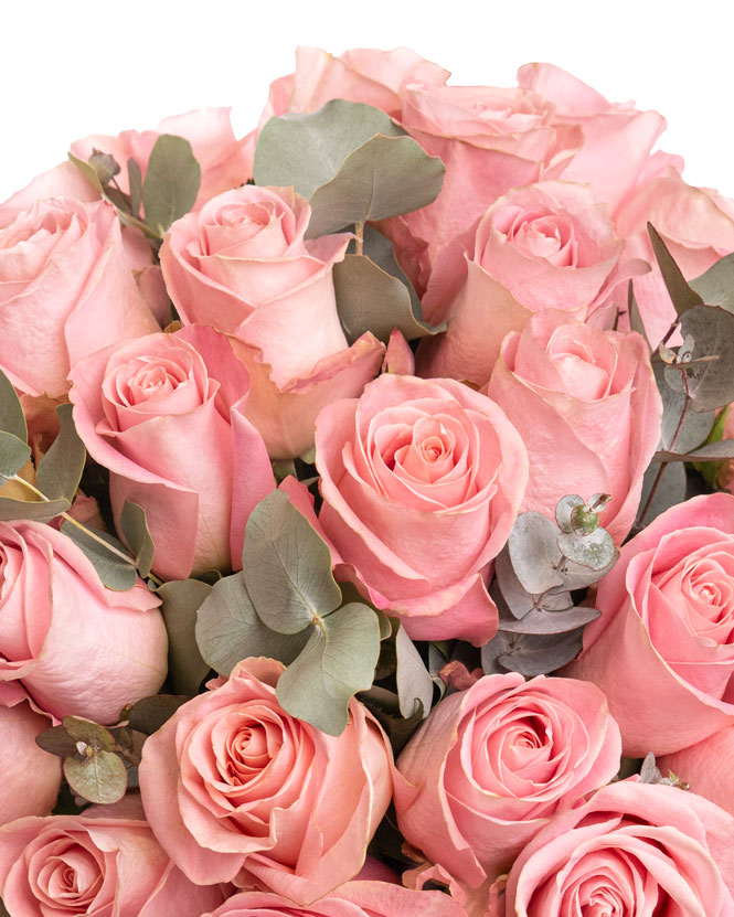 Pink roses and eucalyptus