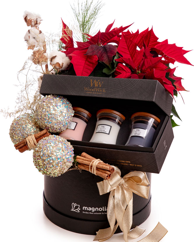 Holiday Gift with WoodWick Candle Set and Poinsettia
