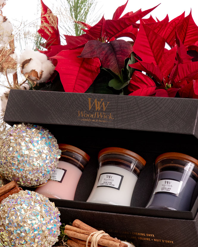 Holiday Gift with WoodWick Candle Set and Poinsettia