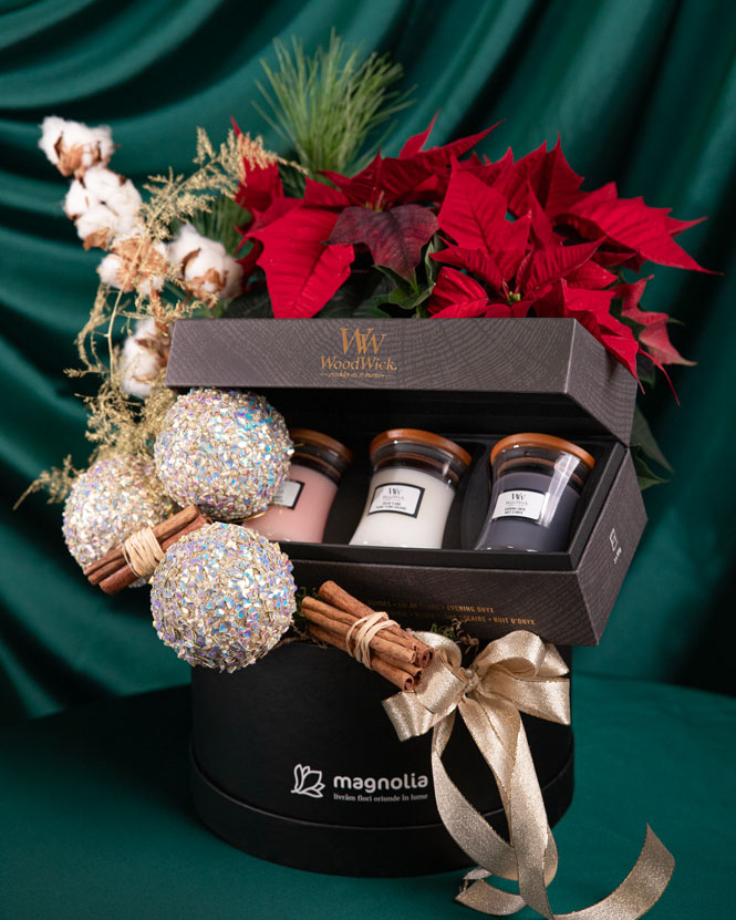 Holiday Gift with WoodWick Candle Set and Poinsettia