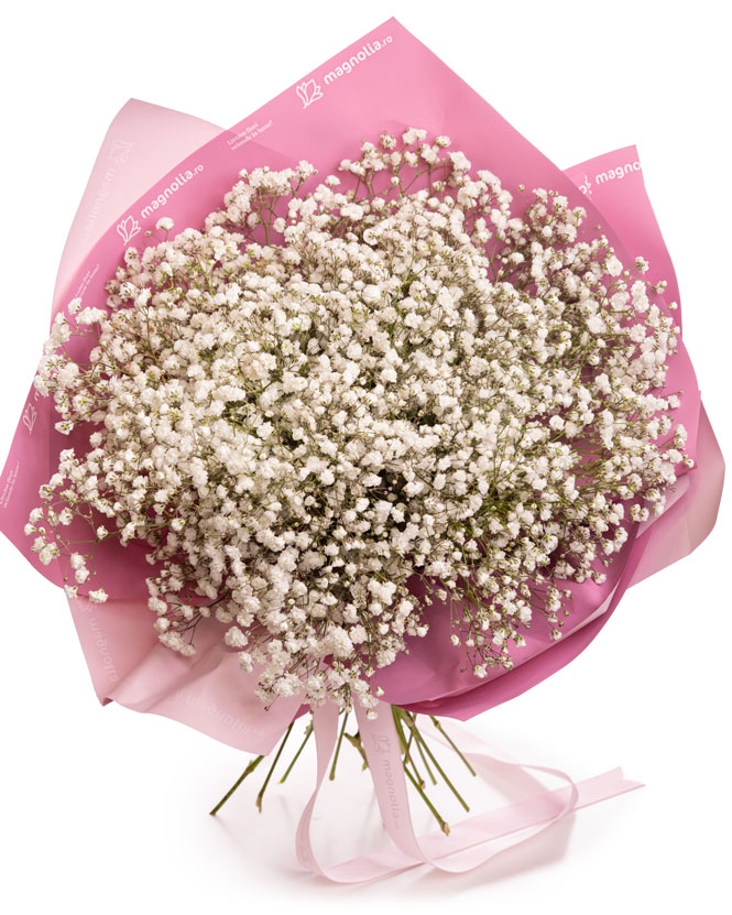 Gypsophila Bouquet