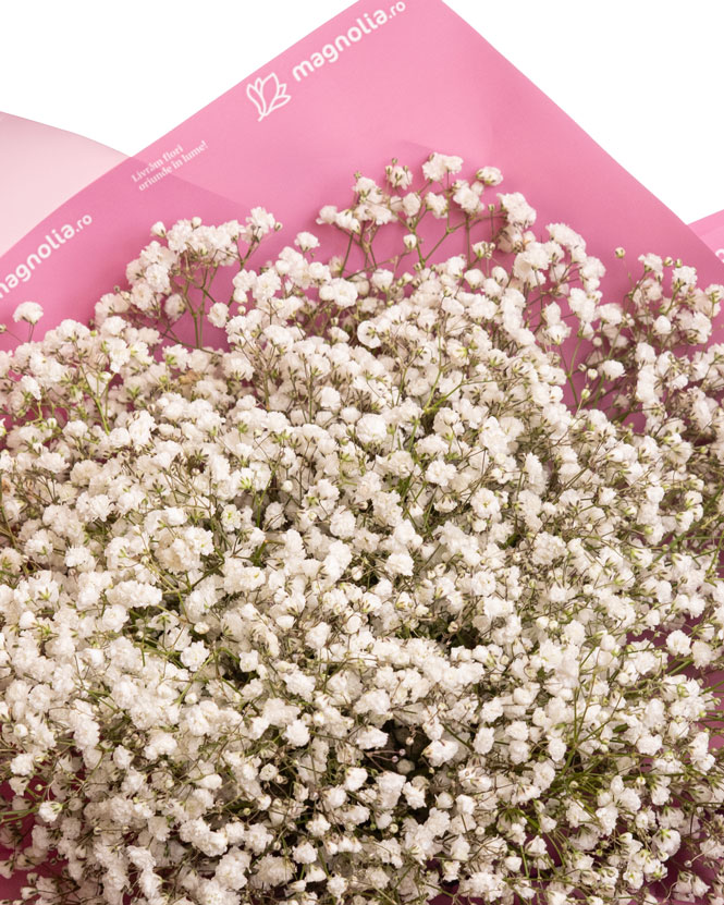 Gypsophila Bouquet