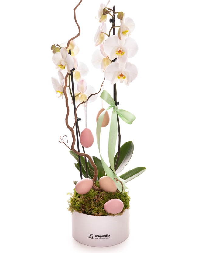 Orchid Easter arrangement