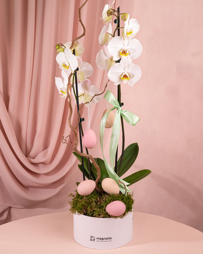 Orchid Easter arrangement