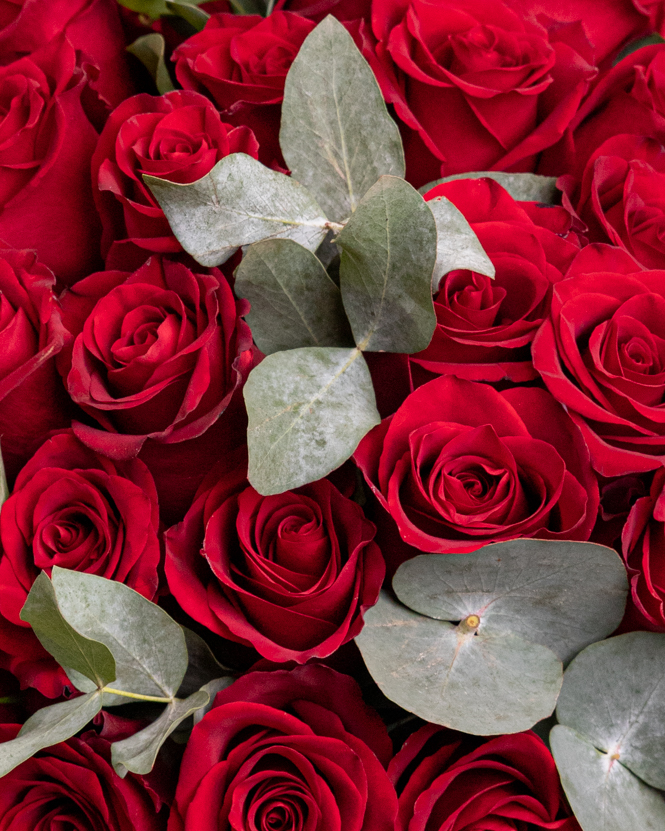 35 Red Rose Bouquet