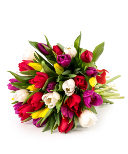 Flori de 1 Martie