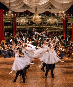 Balul Operei- Editia 2018 8
