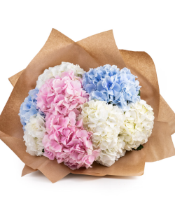 Buchet cu hortensii pastelate