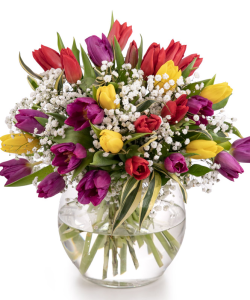 Buchet lalele şi gypsophila