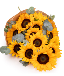 Buchet floarea-soarelui 