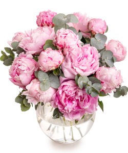 Buchet bujori