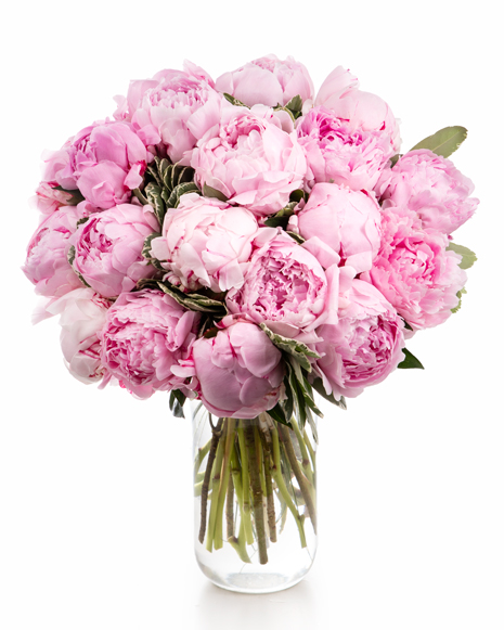 buchet bujori