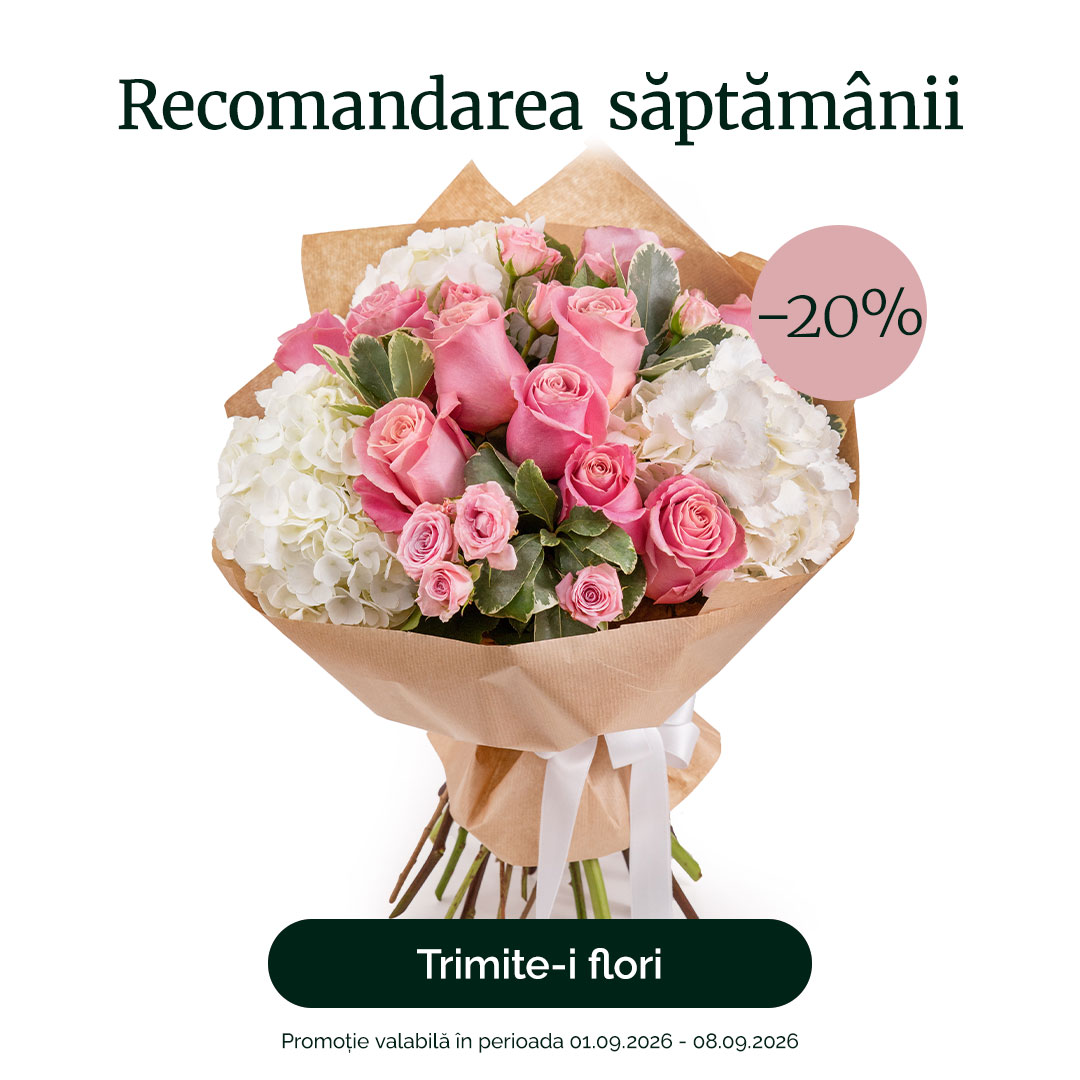 Buchet cu trandafiri roz și hortensie albă – recomandarea săptămânii