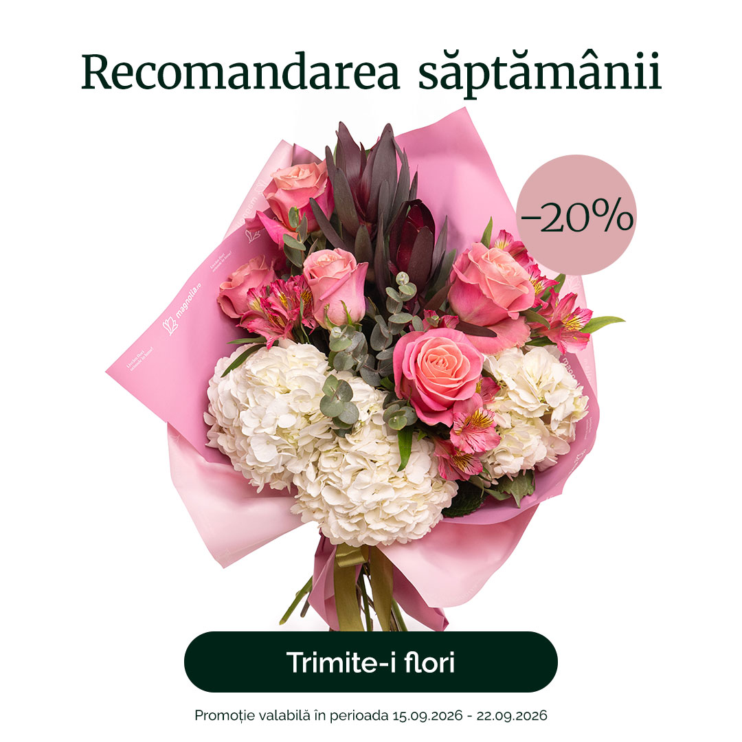 Buchet cu trandafiri roz și hortensii "Whisper of Beauty" – recomandarea săptămânii