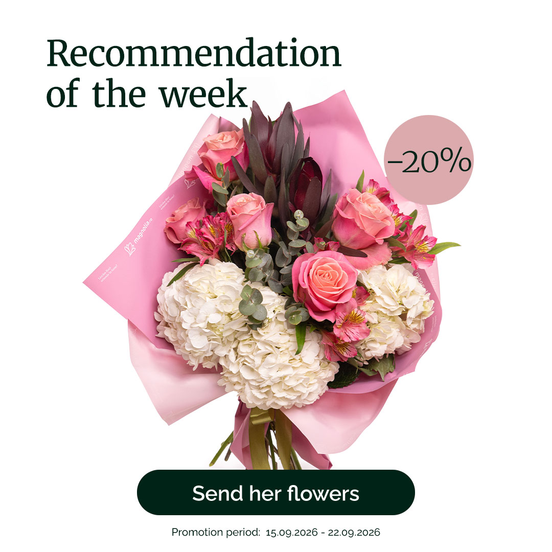 "Whisper of Beauty" pink roses and hydrangea bouquet – recommendation of the week