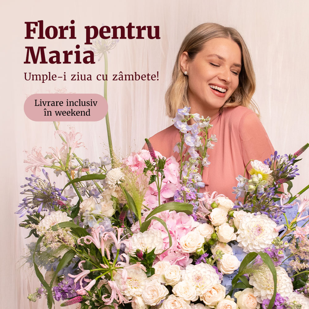 Flori de Sfânta Maria