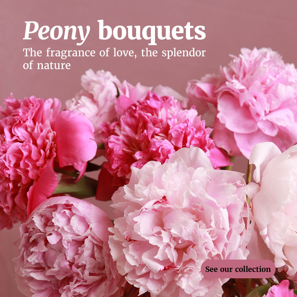 Peonies Bouquets