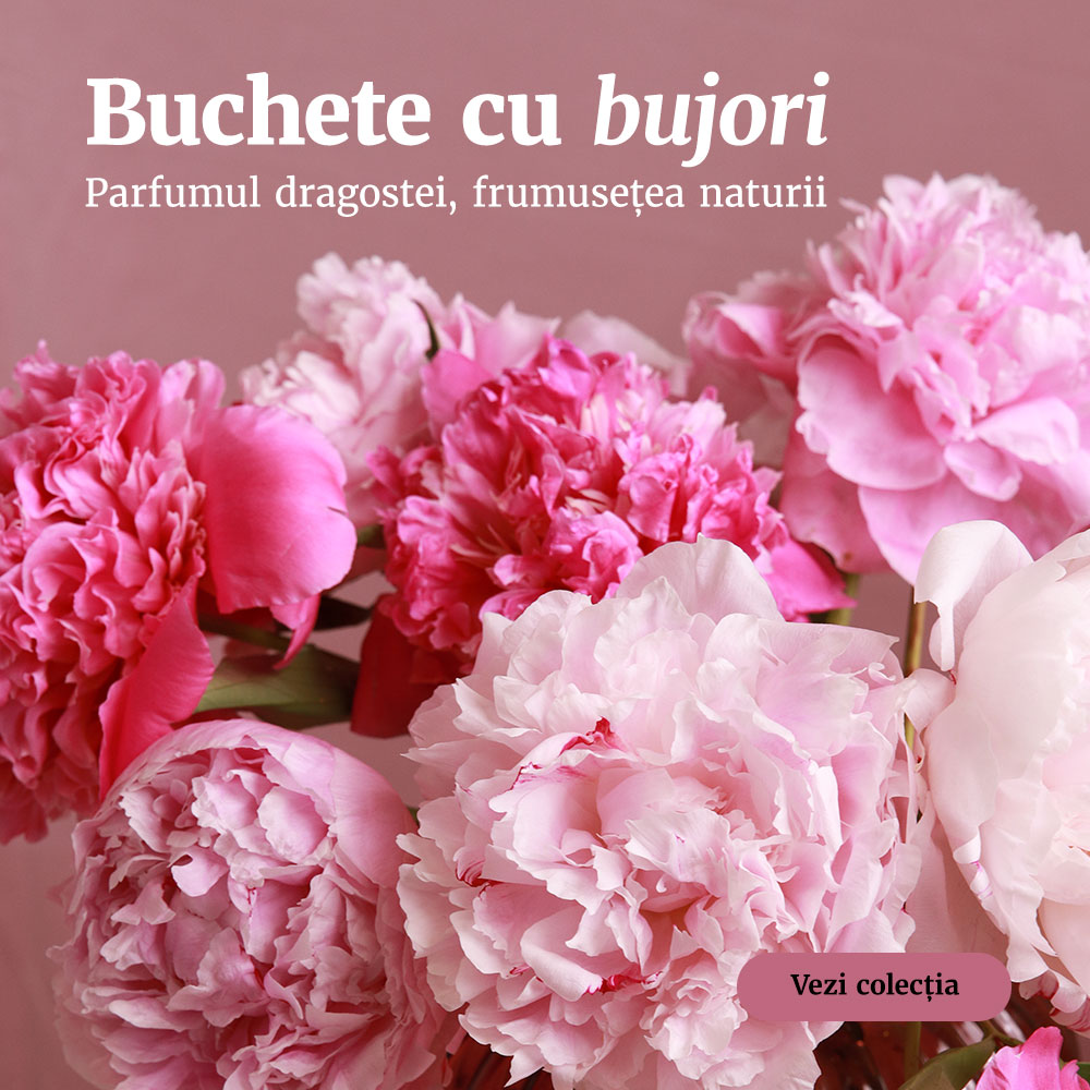Buchete cu bujori
