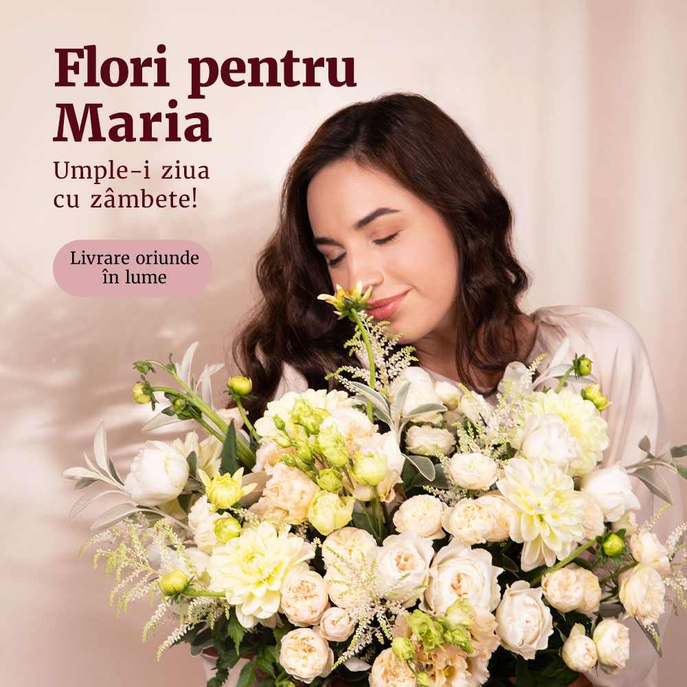 Flori de Sfânta Maria - Buchete și aranjamente florale deosebite