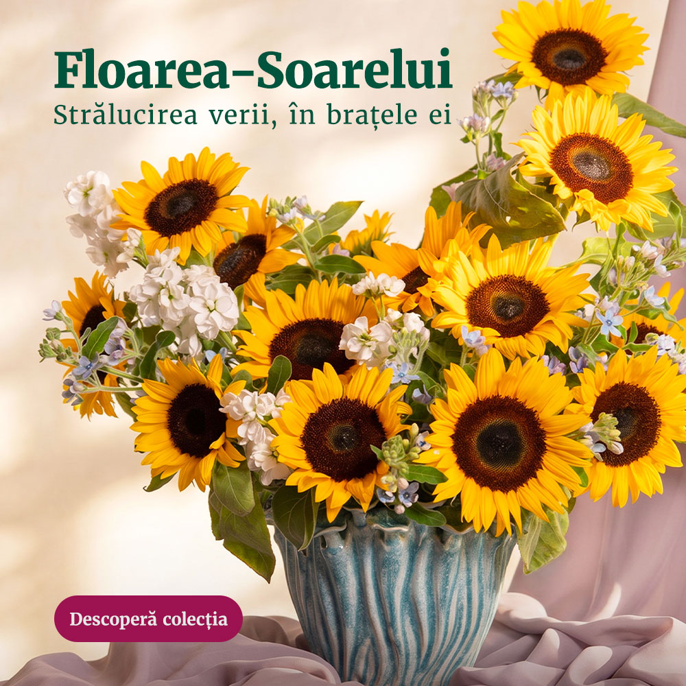 Buchete cu Floarea-soarelui - Aranjamente și buchete colorate