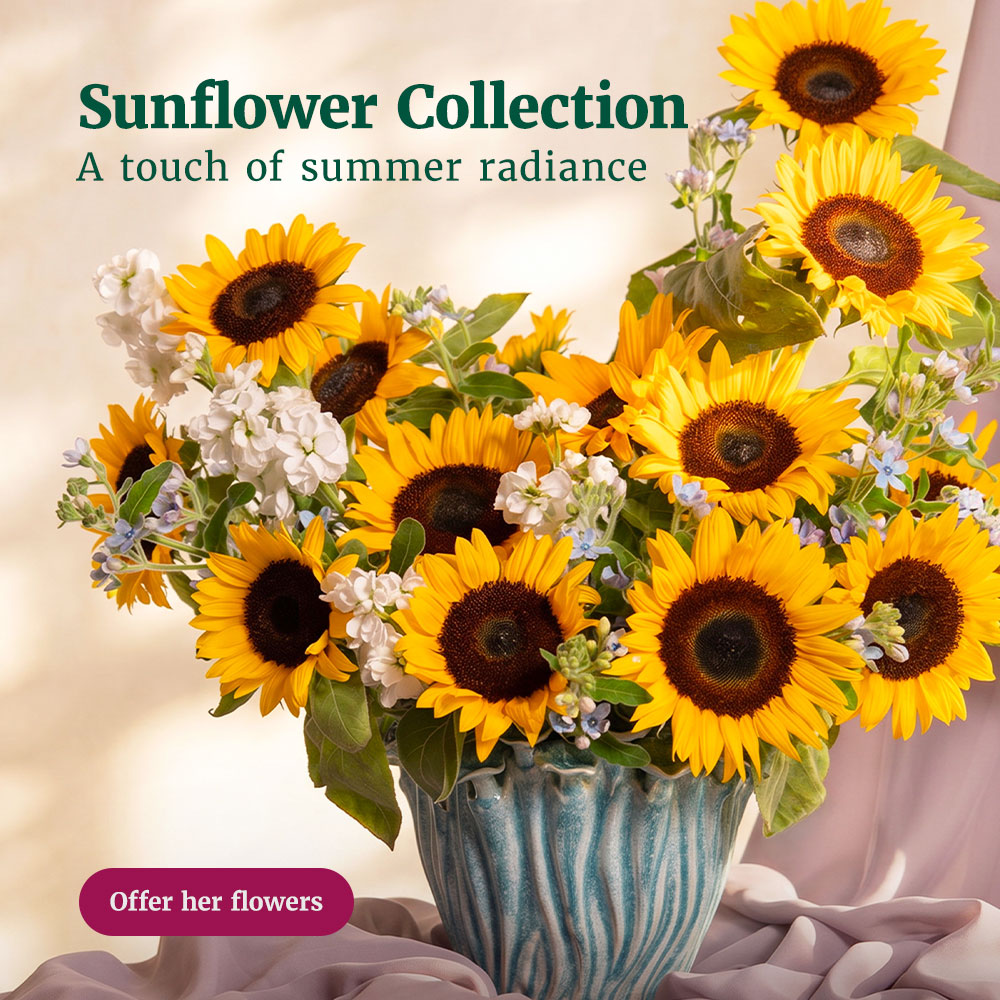 Sunflower Bouquets - Colorful Arrangements and Bouquets