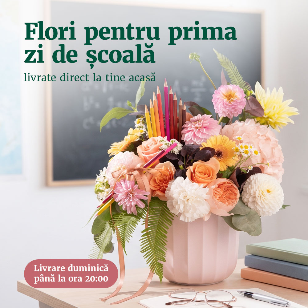 Flori pentru prima zi de școală. Buchete și aranjamente pentru profesori, educatoare și învățătoare