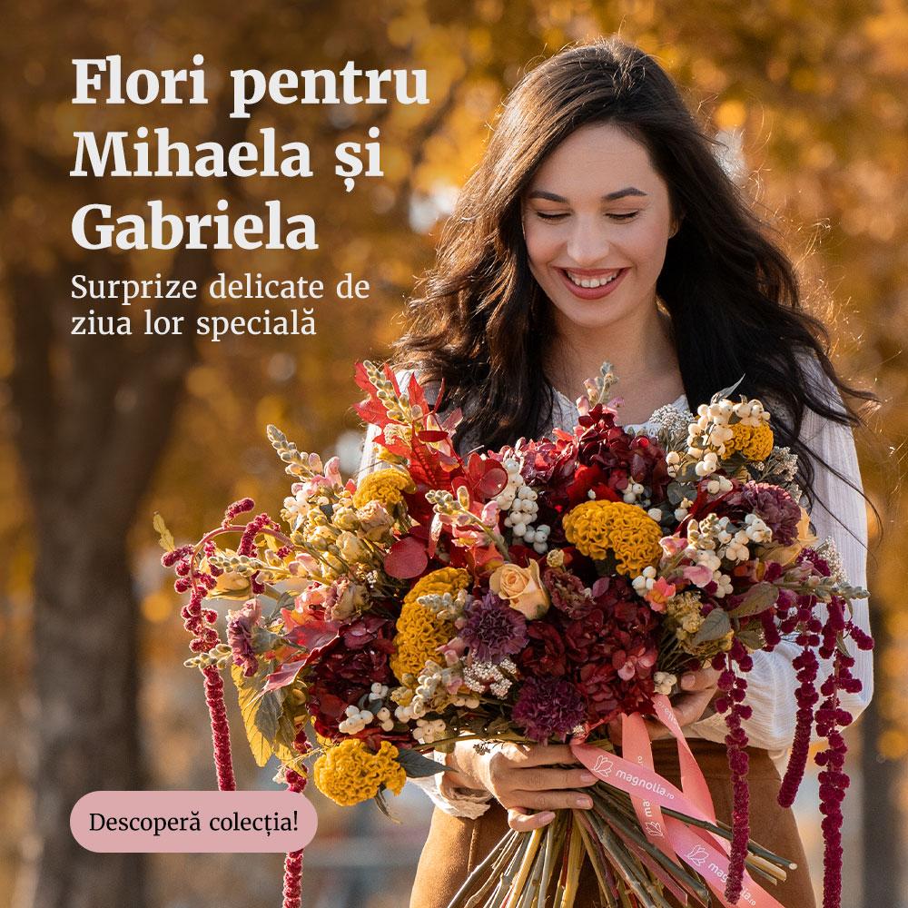 Flori de Sfinţii Mihail şi Gavriil
