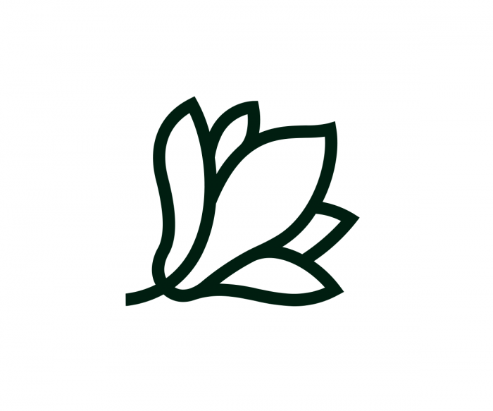 Îndeplineşte dorinţe cu Magnolia Îndeplineşte dorinţe cu Magnolia