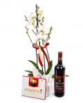 Aranjament orhidee Phalaenopsis albă cu ambalaj elegant – imaginea 1