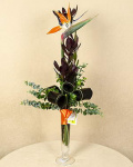 1 Fir de Strelitzia frumos ornată cu cordyline