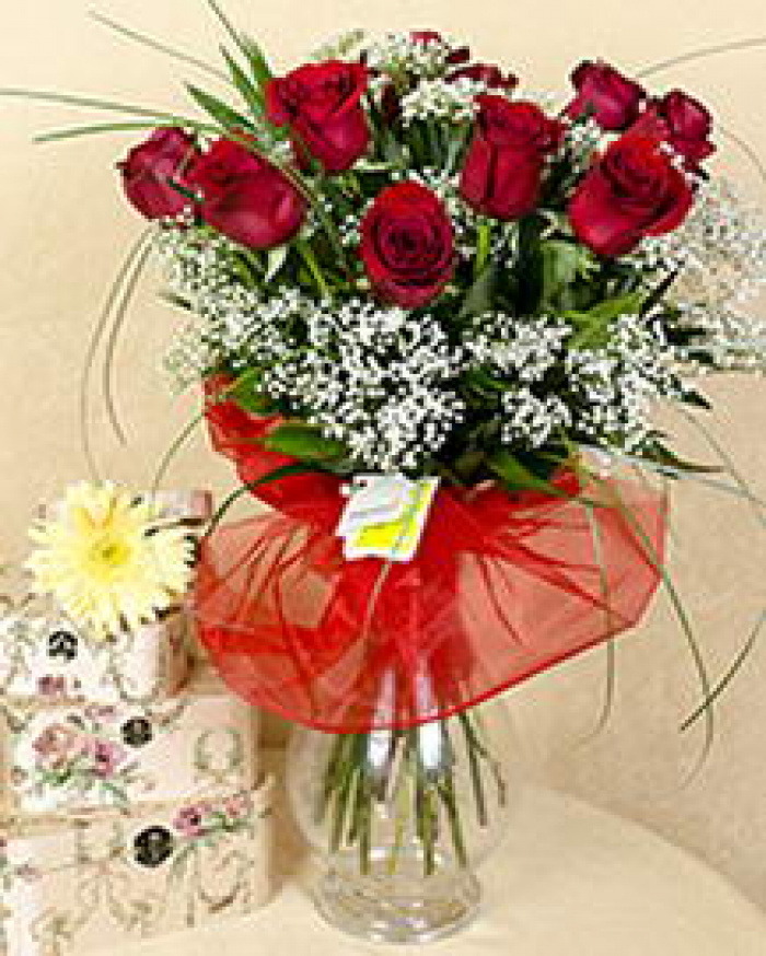 Buchet 11 trandafiri roşii freedom cu gypsophilla