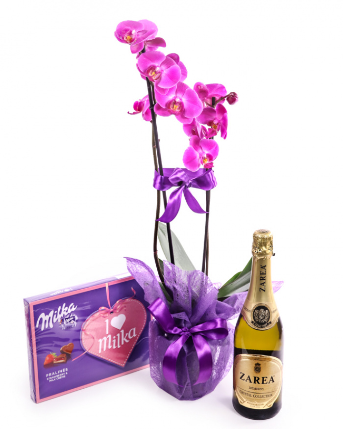 Violet Phalaenopsis orchid arrangement – imaginea 1