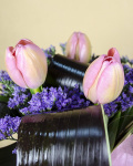 Buchet 7 lalele roz și limonium – imaginea 4