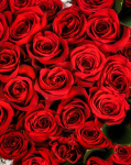 Inimă florală cu trandafiri roșii – imaginea 2